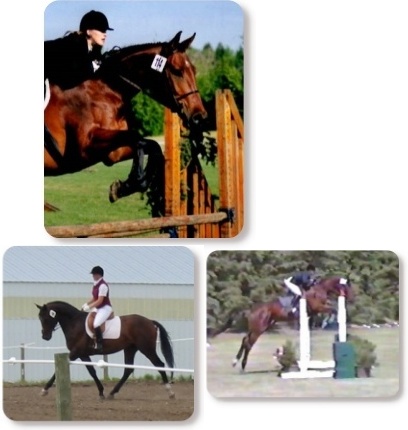 Tracy Dopko - Daventry Equine Appraisal Services client